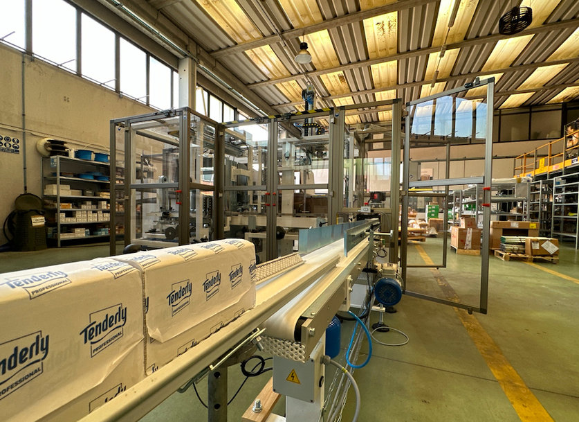 A dedicated solution for the feeding and case packing of interfolded products